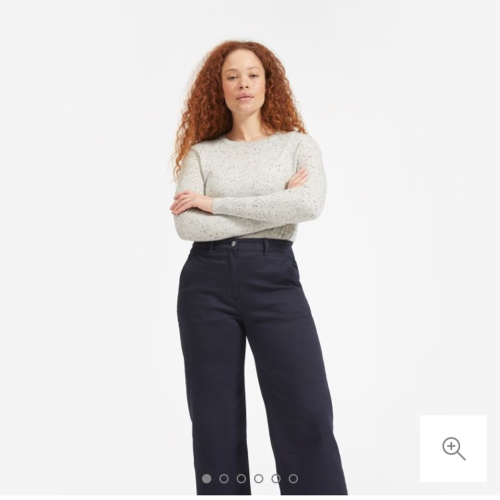 Everlane Cashmere Crew
